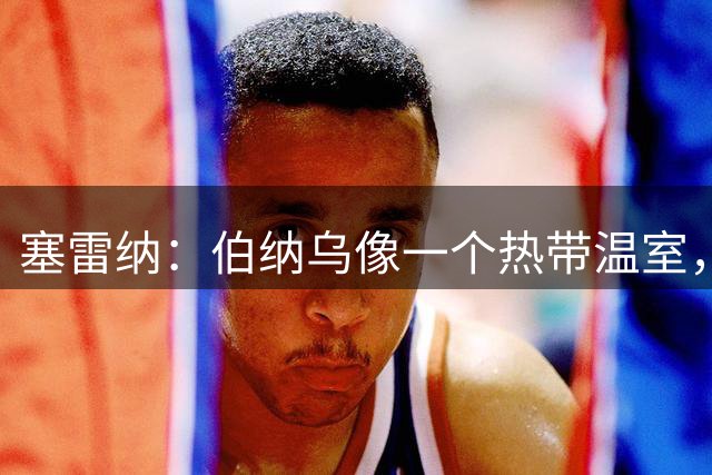 塞雷纳：伯纳乌像一个热带温室，皇马和国米球员发挥都不算好